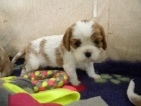 Jessy